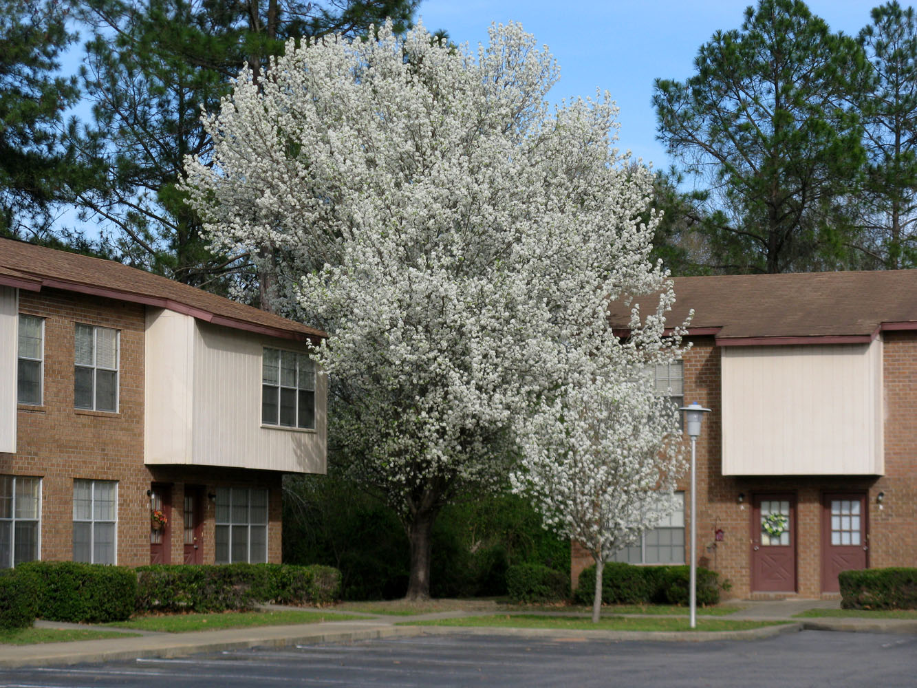 Royal American Properties Pineland Moultrie Ga